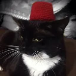Bekaze's Discord profile picture