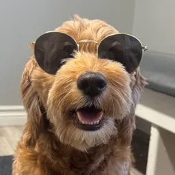 Soza's Discord profile picture